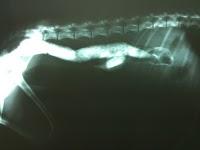 La llegada del buen tiempo