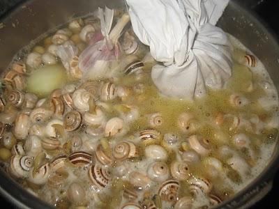 Caracoles paso a paso