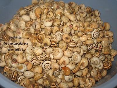 Caracoles paso a paso