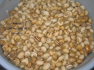 Caracoles paso a paso