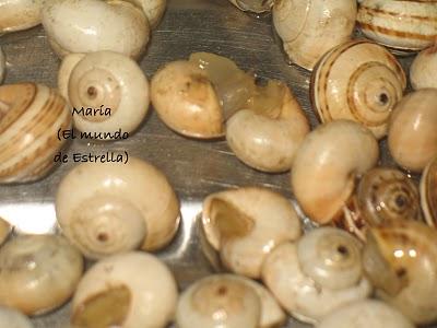 Caracoles paso a paso