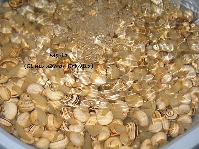 Caracoles paso a paso