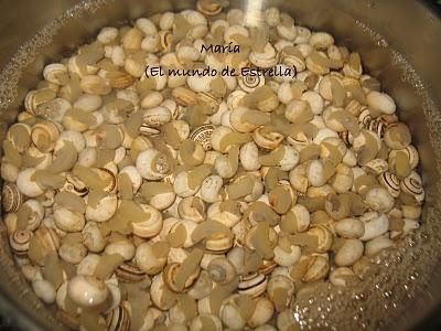 Caracoles paso a paso