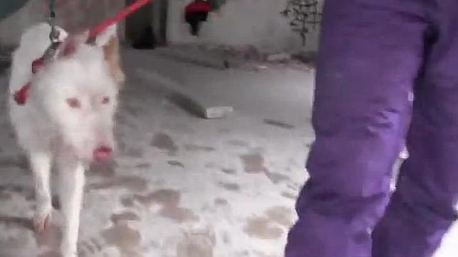 Pulse para ver el video