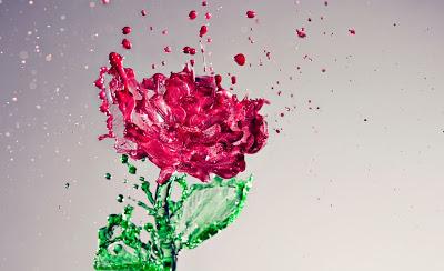 Yo no busco la felicidad completa