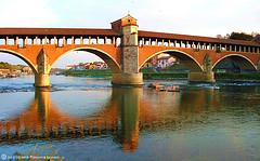 puente-ponte-coperto-pavia-4-camino-español