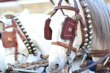 Freedom!! photo DSC_2102_zps4a103fc9.jpg