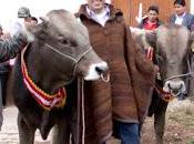 Presidente regional lima entrega sementales raza equipos medicos huarochiri…