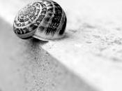 Minimalismo meta-minimalismo