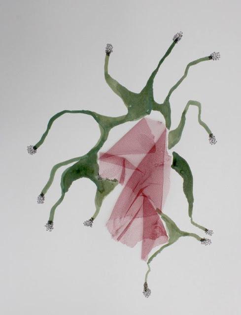 Daniela Quilici-Los perezosos