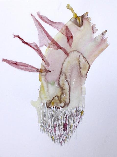 Daniela Quilici-Los perezosos