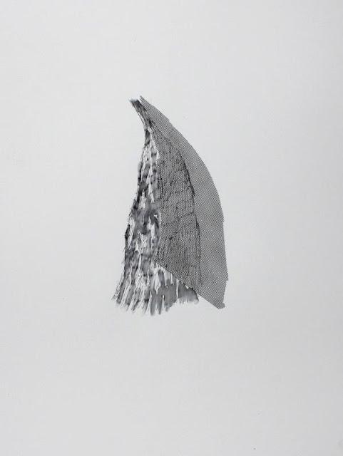 Daniela Quilici-Los perezosos