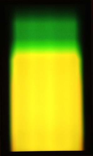 Richard Garet-The Spacious Now and the Scale of the Instantaneous
