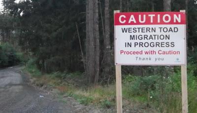 ¿Tenemos lo que nos merecemos?