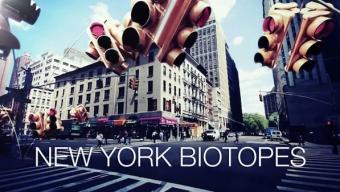 New York Biotopes :: motion urbano New York Biotopes :: motion urbano
