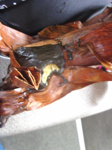 Probar comida nueva El último Banh Gai de la bolsa. Me encantó!