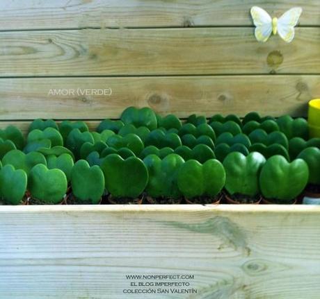 Píldoras (recicladas) de San Valentín / Día de los Enamorados amorverde2