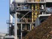 Biomasa cabeza generación puestos trabajo