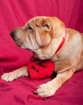 #love Happy Valentine's Day and Thursday!!