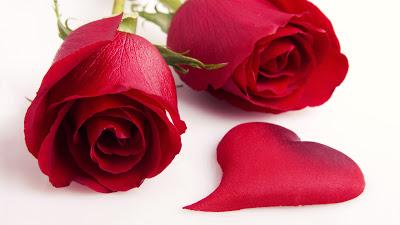 Los libros de San Valentín