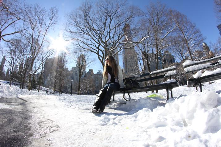 WHITE CENTRAL PARK