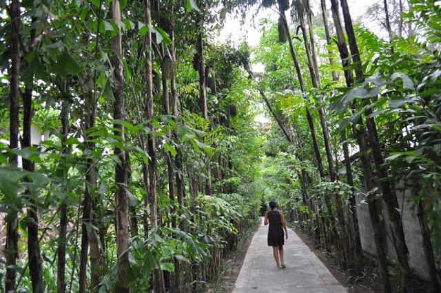 *our wedding* luna de miel: Tailandia (I)