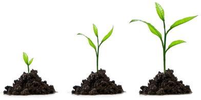 Beneficios del lead nurturing