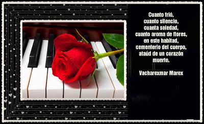 Poemas para el día de San Valentín