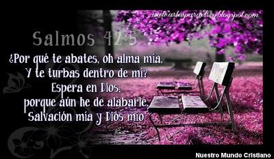 ¿POR QUÉ ESTÁ ABATIDA MI ALMA?