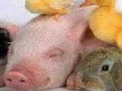 Creados para amarnos unos otros