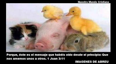 Creados para amarnos unos a otros