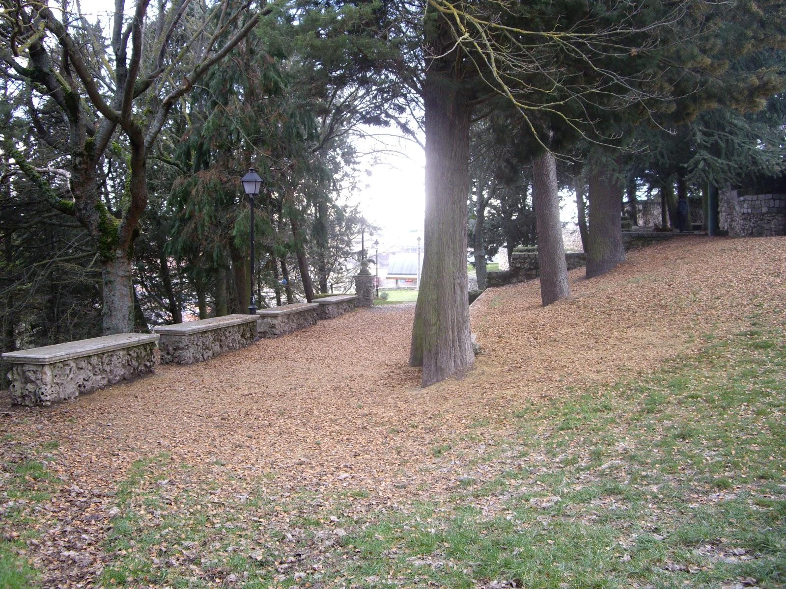 Celebracion anticipada de San Valentin!!!