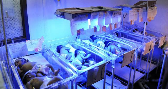 Morir bajo una bombilla. Primero los más grandes.