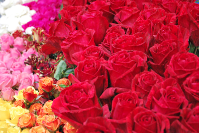 Con flores colombianas se celebrará el San Valentín