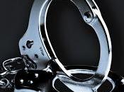 Cincuenta sombras liberadas, E.L. James