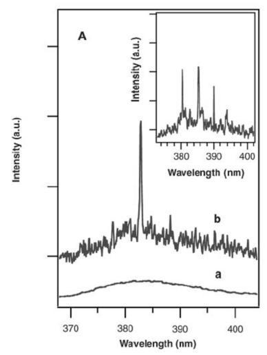 Luminosidad cuántica en nanohilos
