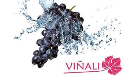 Cuidado de las Manos con Viñali