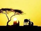 Árbol Teneré, Historia