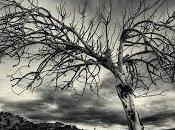 muerte será más, muerte, morirás*