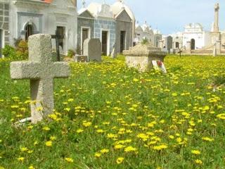Bonifacio, no apto para cardiacos (Córcega, Italia)