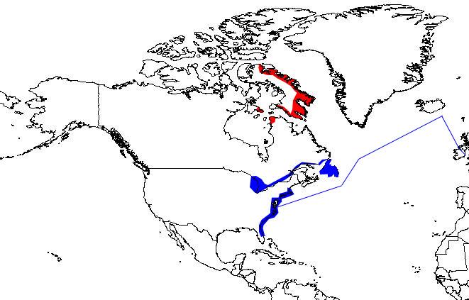 Kumlieni y Delaware en Bañugues