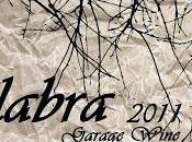 Bodegas viñedos cerro águila.