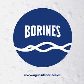 AGUA DE MANANTIAL BORINES Imagen