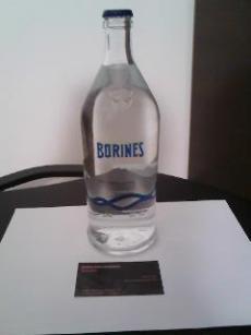 AGUA DE MANANTIAL BORINES Imagen