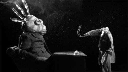 El delirio del pez león