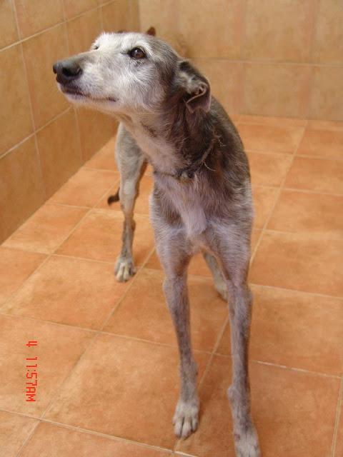 En memoria de Jason, el nacio para cazar....