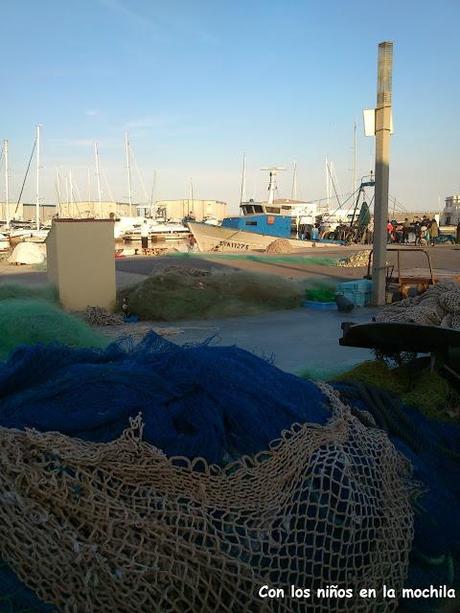 Subasta de pescado en la lonja de El Campello