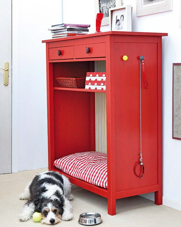 Una idea original para tu mascota