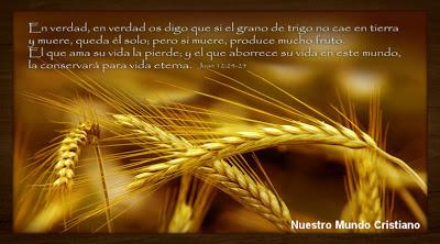 La Semilla y la Cosecha.