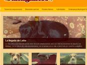 Todo sueño Testimonio Mujer